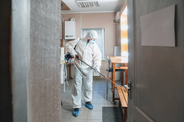 Best Environmental Consulting for Mold Prevention  in Osseo, WI